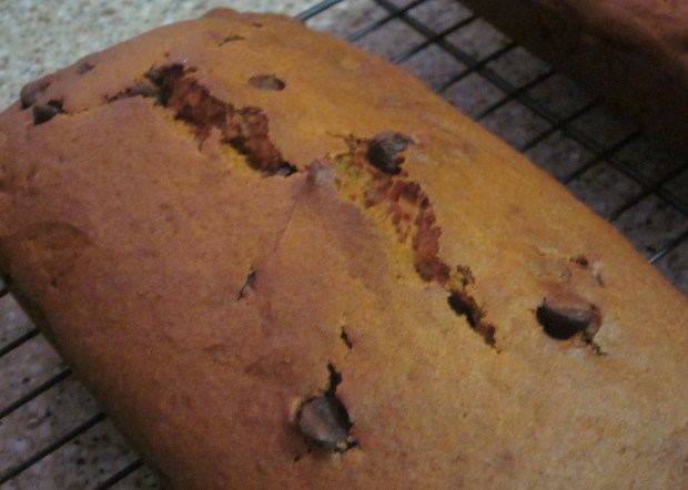 Pumpkin loaf